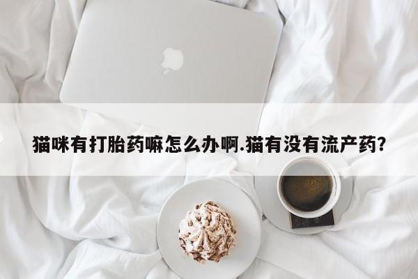 流产药使用猫咪有打胎药嘛怎么办啊.猫有没有流产药？