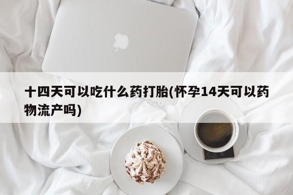 流产药使用十四天可以吃什么药打胎(怀孕14天可以药物流产吗)